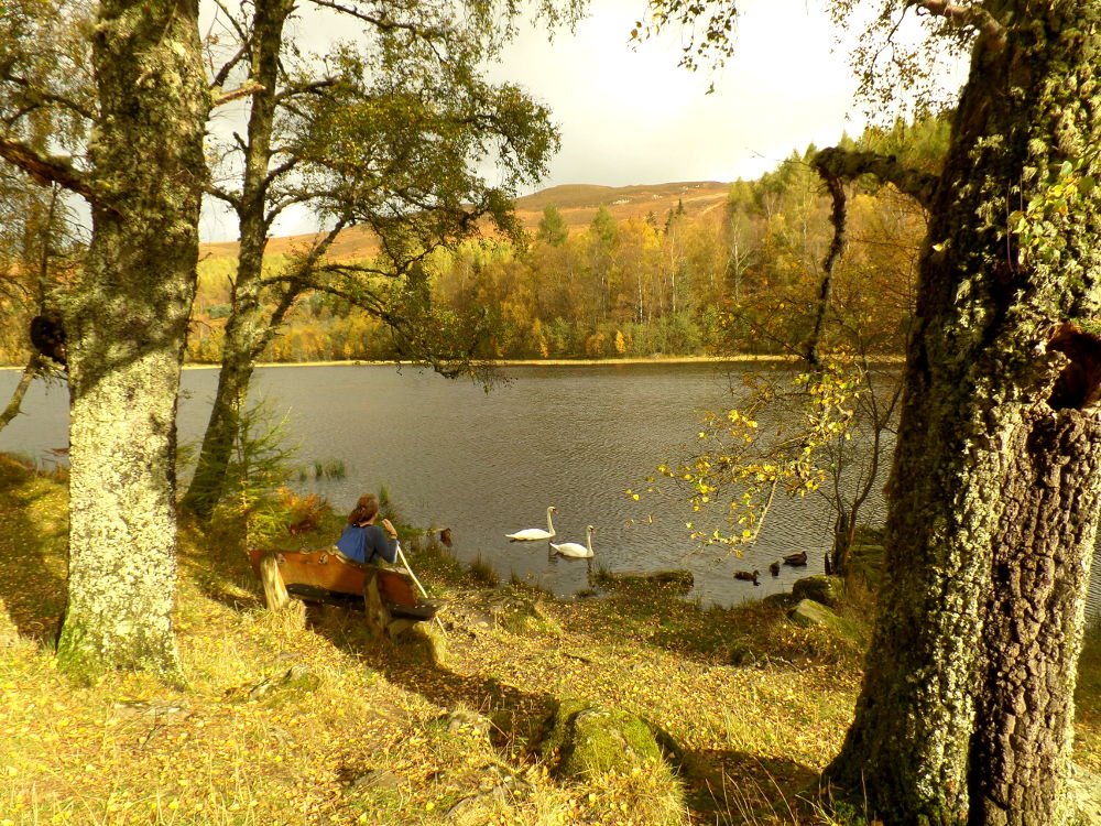 Hermitage Autumn