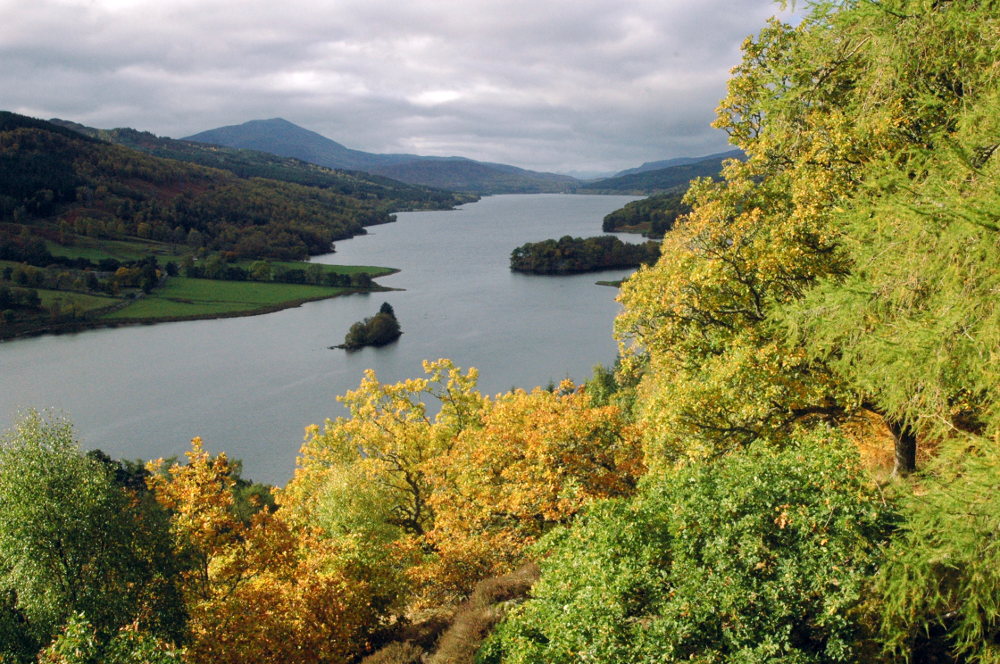 Hermitage Autumn